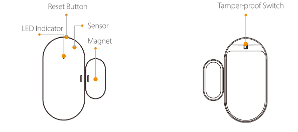 Dimensions ZD1-EU-IMOU.jpg